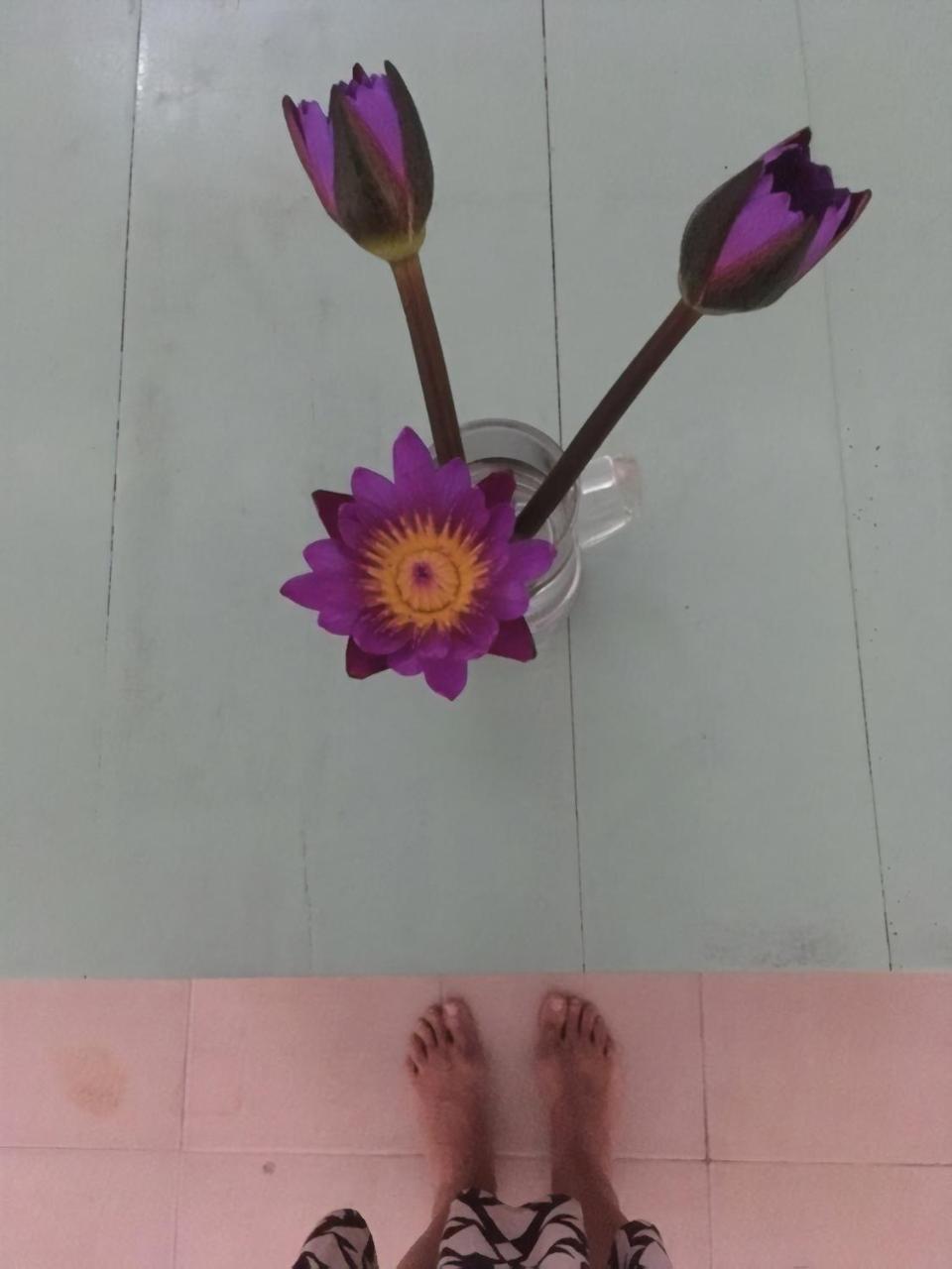Layback Boutique Surf & Yoga Camp Sri Lanka Albergue Weligama Exterior foto